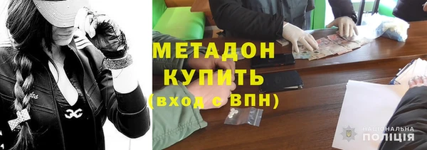 шишки Белокуриха