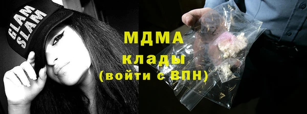 шишки Белокуриха