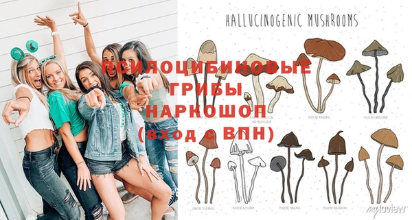 хмурый Балабаново