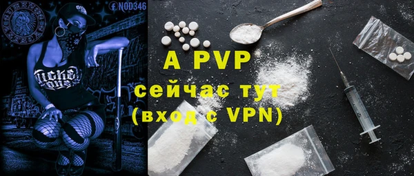 спайс Баксан