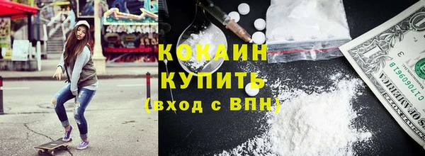 шишки Белокуриха