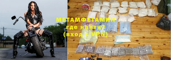 шишки Белокуриха