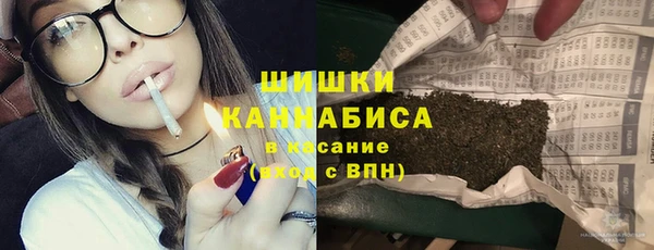 шишки Белокуриха