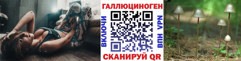 наркота Бокситогорск Псилоцибиновые грибы Magic Shrooms
